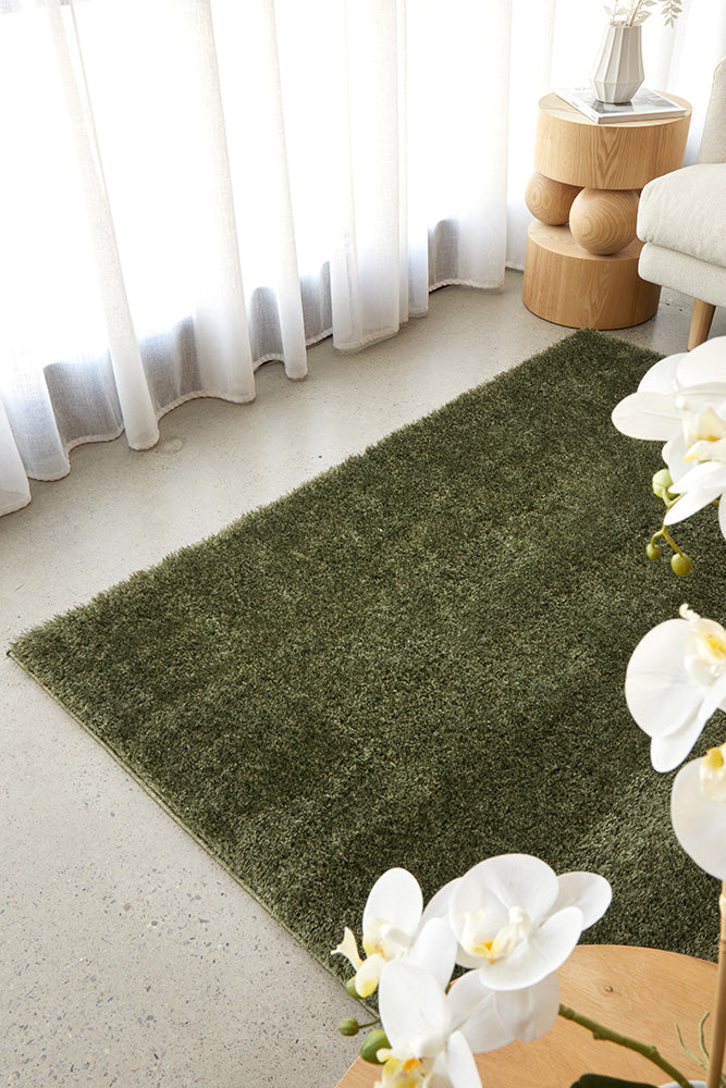 Lush Green Shag Rug