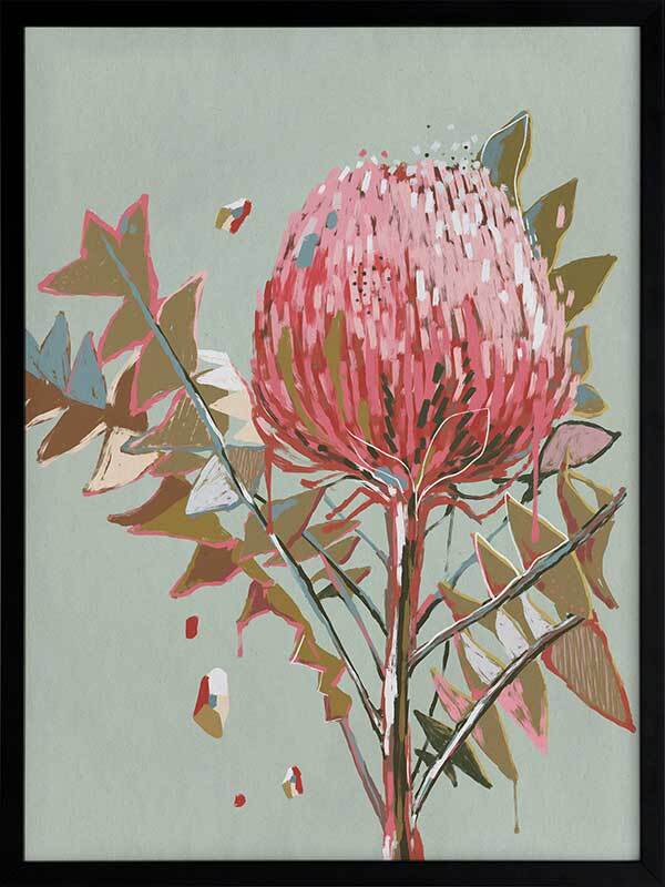 Pink Waratah Framed Art Print