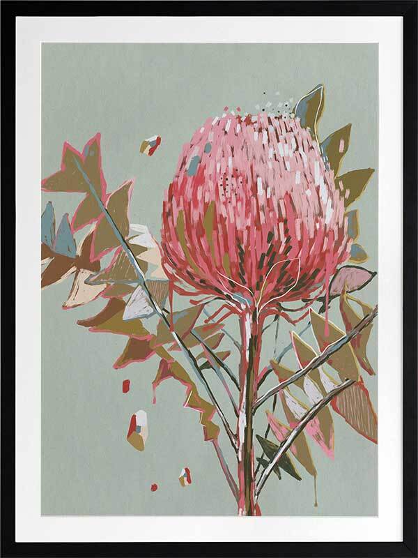 Pink Waratah Framed Art Print
