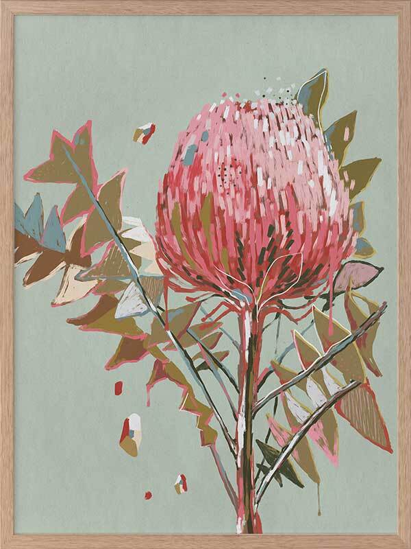 Pink Waratah Framed Art Print