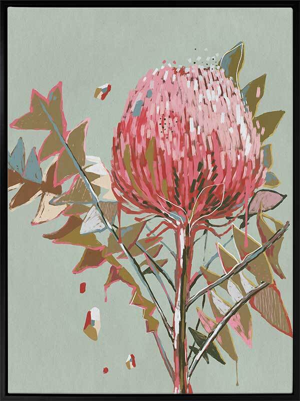 Pink Waratah Canvas Art Print