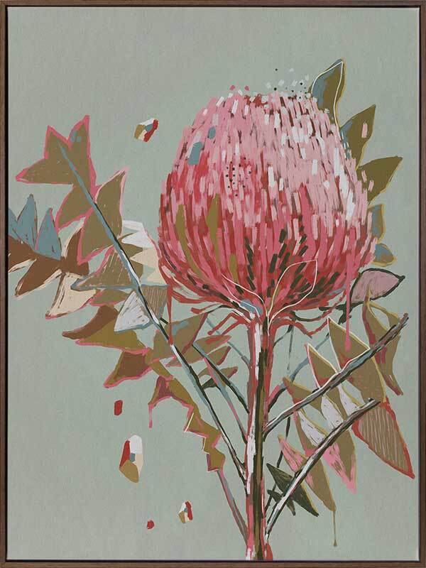 Pink Waratah Canvas Art Print