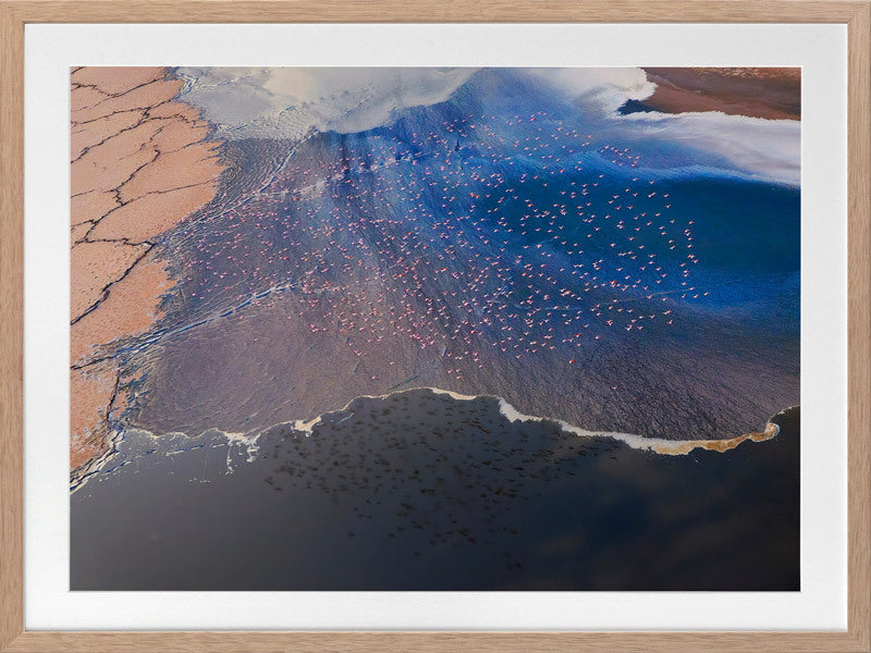 Wading Birds Framed Art Print