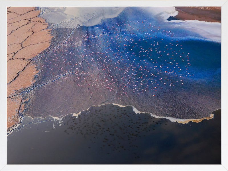 Wading Birds Framed Art Print