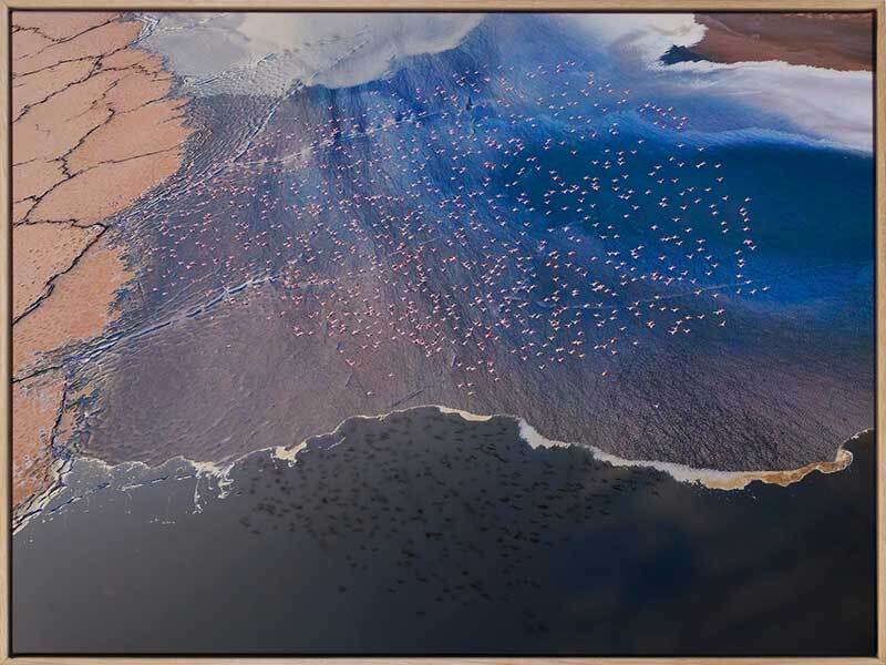 Wading Birds Canvas Art Print