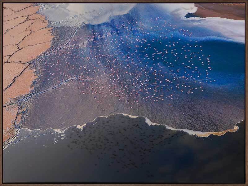 Wading Birds Canvas Art Print