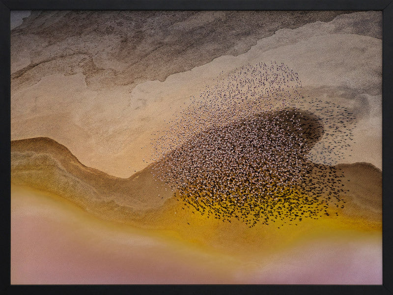 Lakeside Birds Framed Art Print