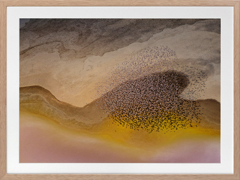 Lakeside Birds Framed Art Print