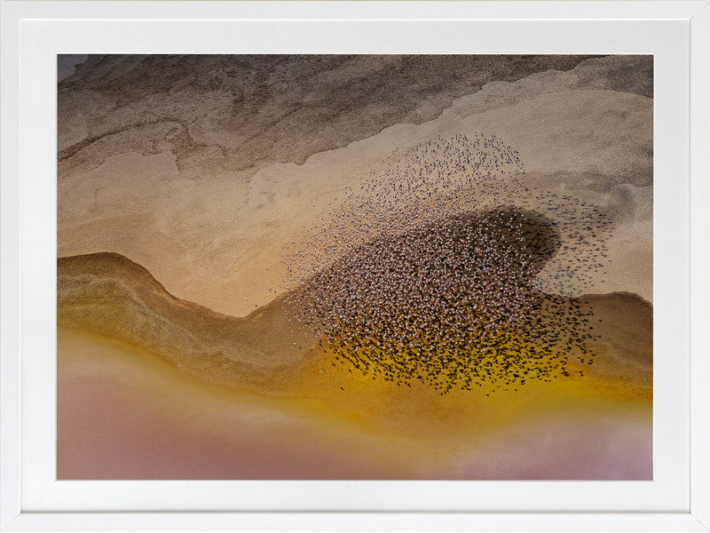 Lakeside Birds Framed Art Print