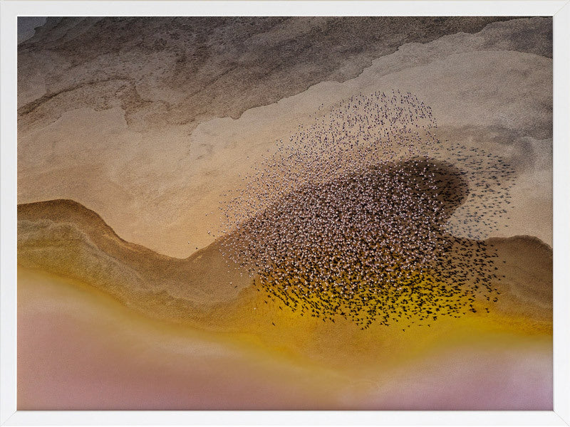 Lakeside Birds Framed Art Print