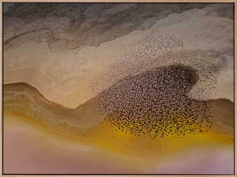 Lakeside Birds Canvas Art Print