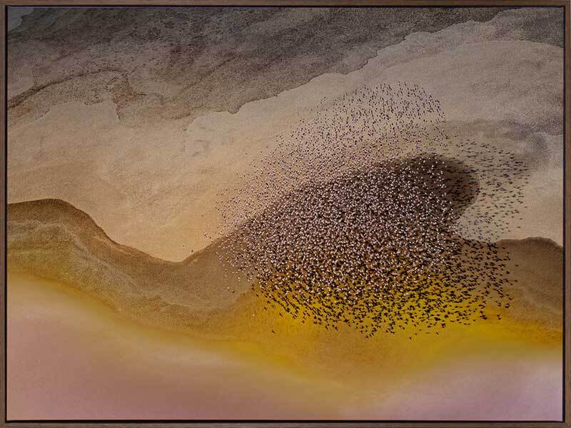 Lakeside Birds Canvas Art Print