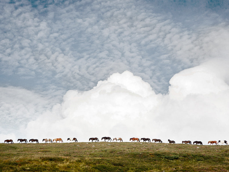 Icelandic Sky Canvas Art Print