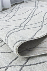 Vines Jada Grey Transitional Rug