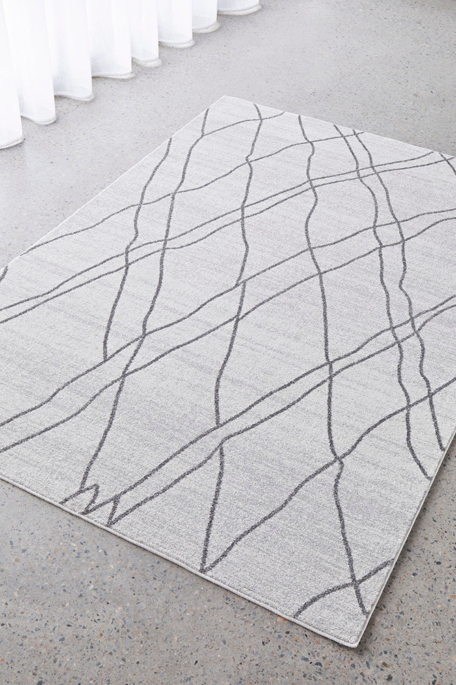 Vines Jada Grey Transitional Rug