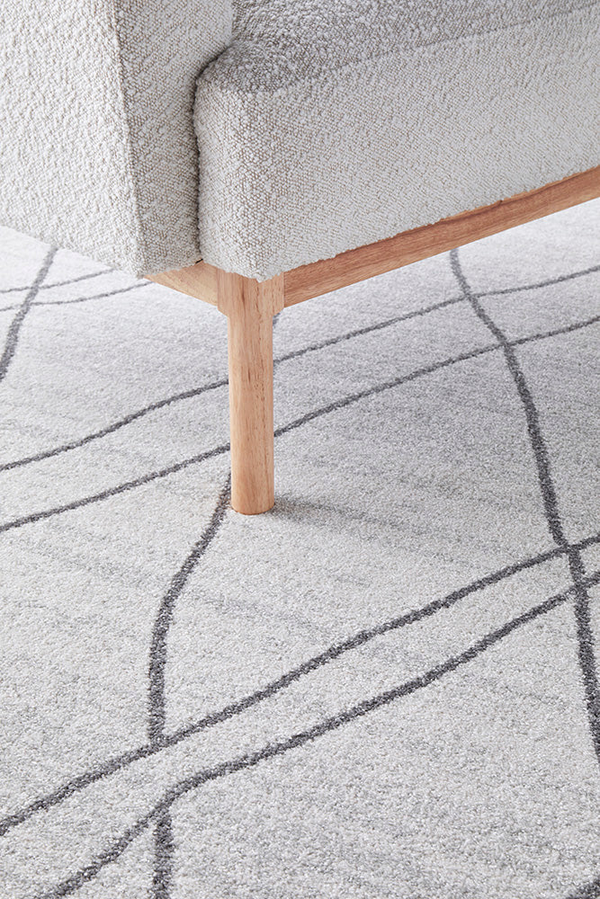 Vines Jada Grey Transitional Rug