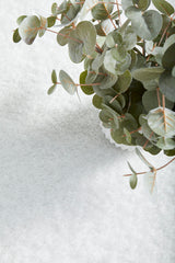 Lush White Shag Rug