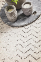 Hazan Silver Transitional Rug