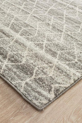 Remy Silver Transitional Rug