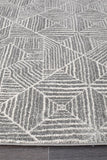 Paradise Contemporary Silver Transitional Rug