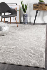 Paradise Contemporary Silver Transitional Rug