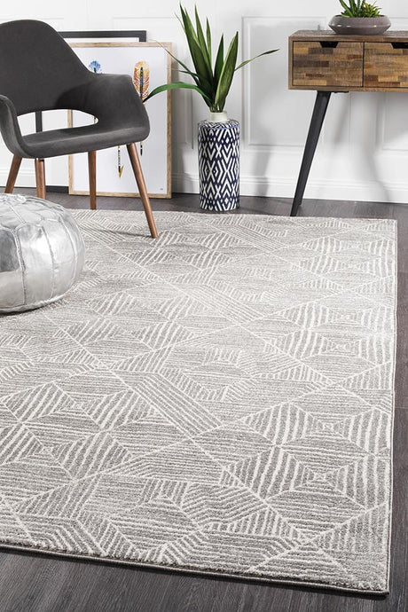 Paradise Contemporary Silver Transitional Rug