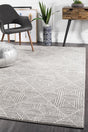 Paradise Contemporary Silver Transitional Rug