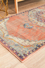 Pilgrimage Ornate Terracotta Transitional Rug