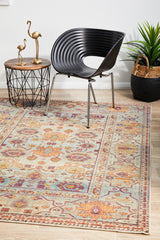 Pilgrimage Ornate Multi Transitional Rug