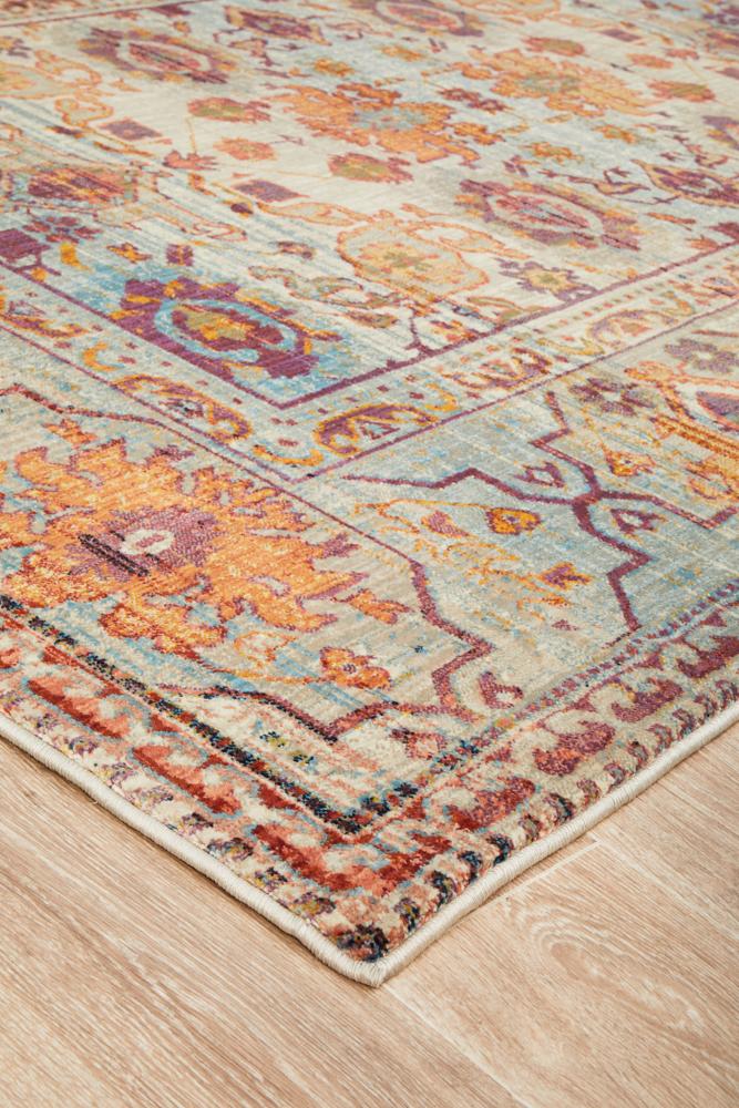 Pilgrimage Ornate Multi Transitional Rug