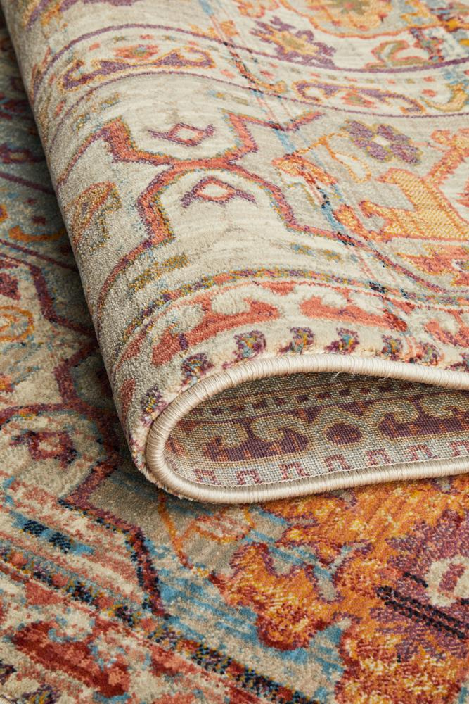 Pilgrimage Ornate Multi Transitional Rug