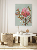 Pink Waratah Canvas Art Print