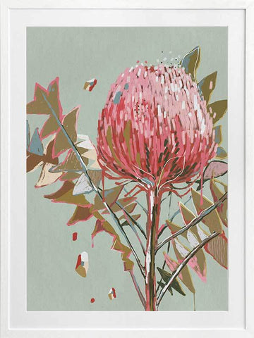 Pink Waratah Framed Art Print