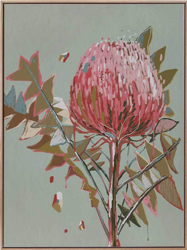 Pink Waratah Canvas Art Print