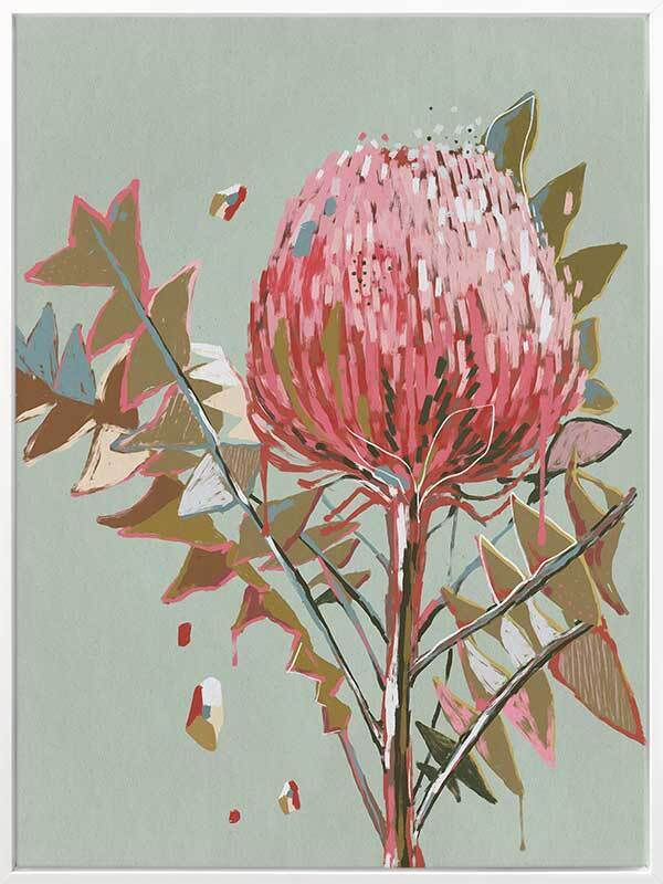 Pink Waratah Canvas Art Print