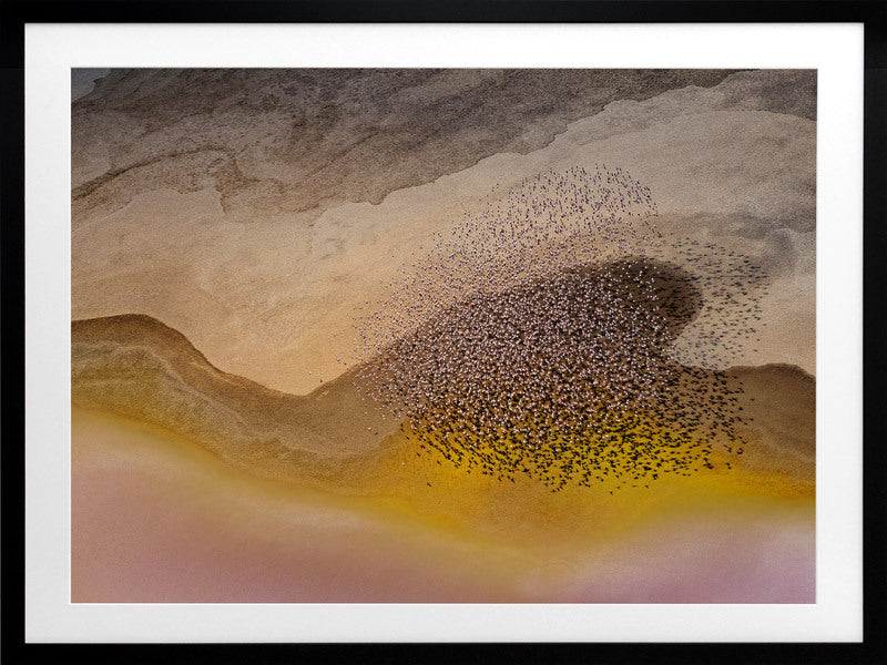 Lakeside Birds Framed Art Print