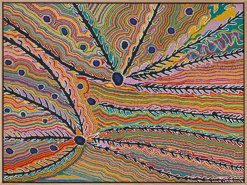 Wakirlpirri Jukurrpa Multicolour Canvas Art Print