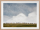Icelandic Sky Framed Art Print